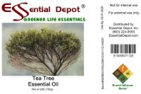 Tea Tree Essential Oil - 10 kg. - Approx 22 lbs.